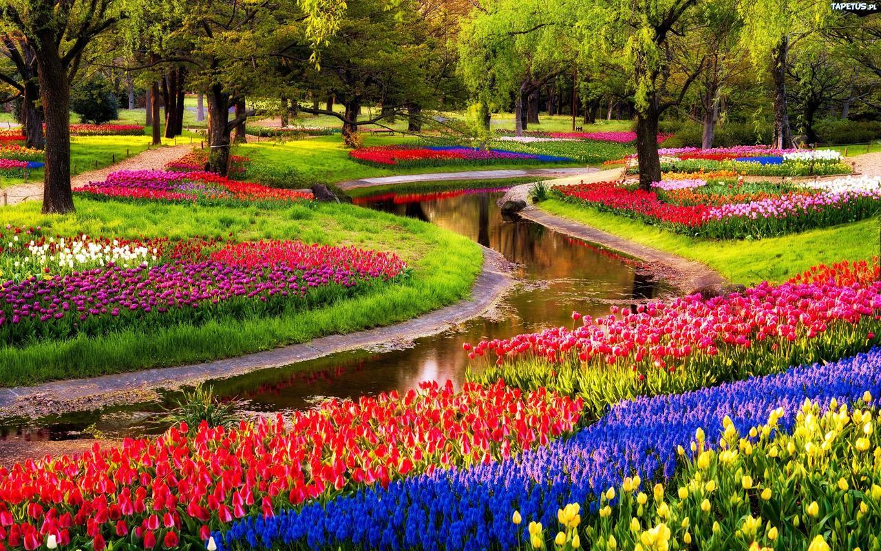 Boutique Suites Lisse - Keukenhof Exteriér fotografie